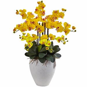 Candice Orchid Arrangement in Planter