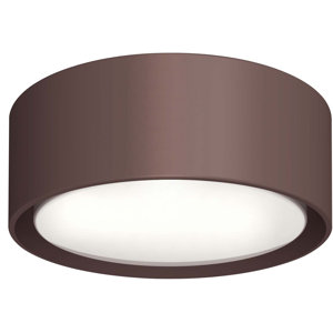 1-Light LED Light Globe Ceiling Fan Light Kit