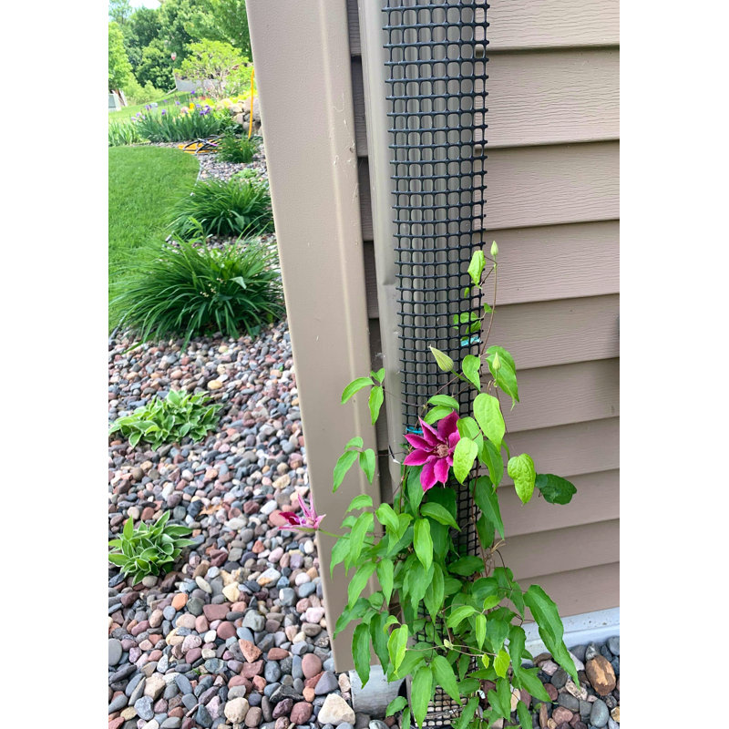Scroll Trellis Downspout Plant Support Vinyl Lattice Panel Trellis Reviews Wayfair