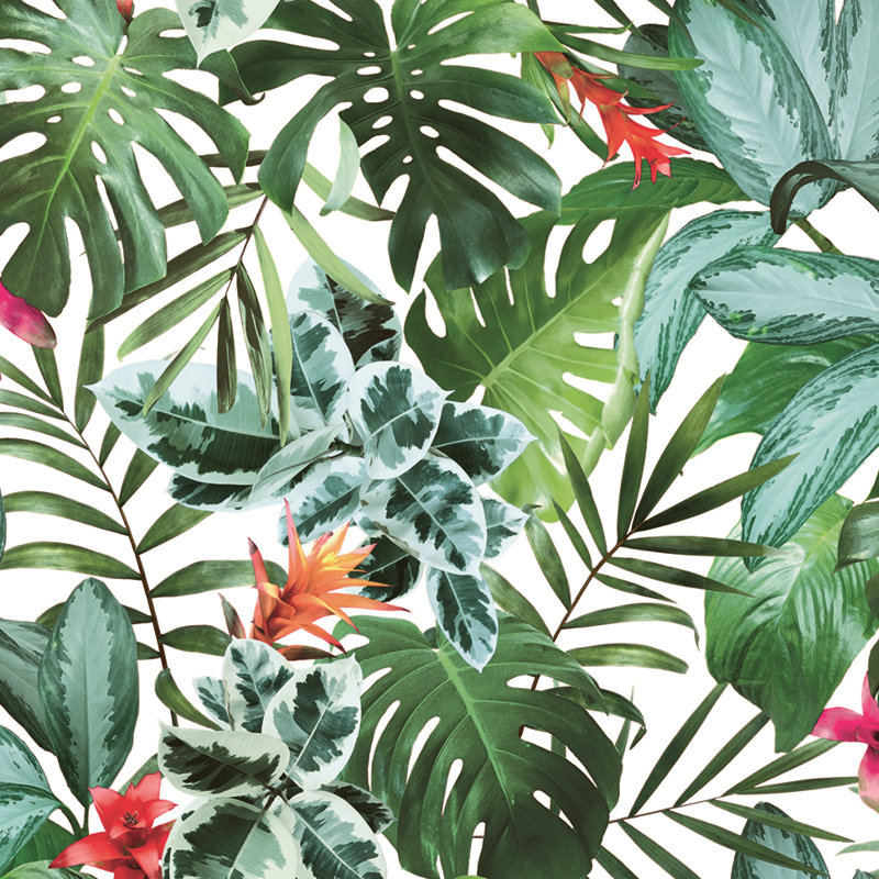 Bay Isle Home Stockstill Rainforest 27 L X 27 W Peel And Stick