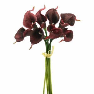 Calla Lily Bundle Stem