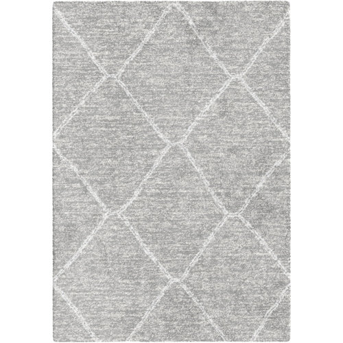 Maubara Shaggy Grey Rug Brayden Studio Rug Size: Rectangle 120 x 170cm