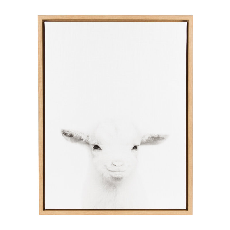 'Sylvie Baby Goat Black and White Portrait' Framed Photographic Print on Canvas