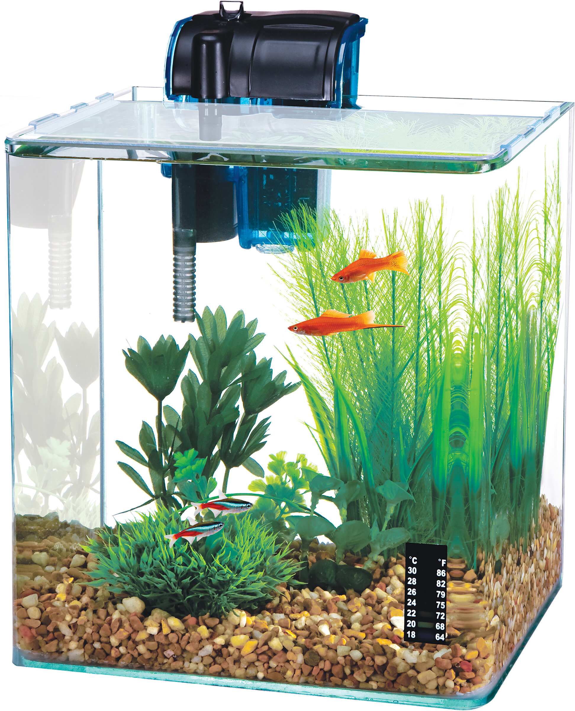 goldfish aquarium starter kit