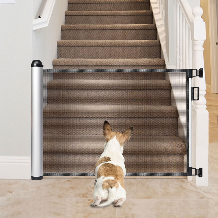 gingerlead support harness