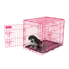 pink dog kennel medium