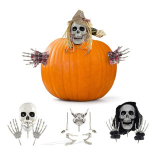 Pumpkin Decor Wayfair Pumpkin Decor Wayfair