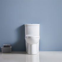 18 Inch High Toilet Wayfair