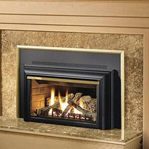 Direct Vent Dual Fuel Fireplace Insert