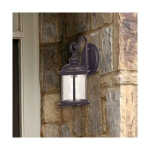 Morrissey 1-Light Outdoor Wall Lantern