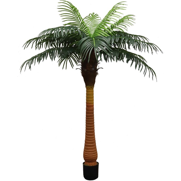 Primrue 60 Artificial Palm Tree In Pot Wayfair Canada   60%27%27 Artificial Palm Tree In Pot 