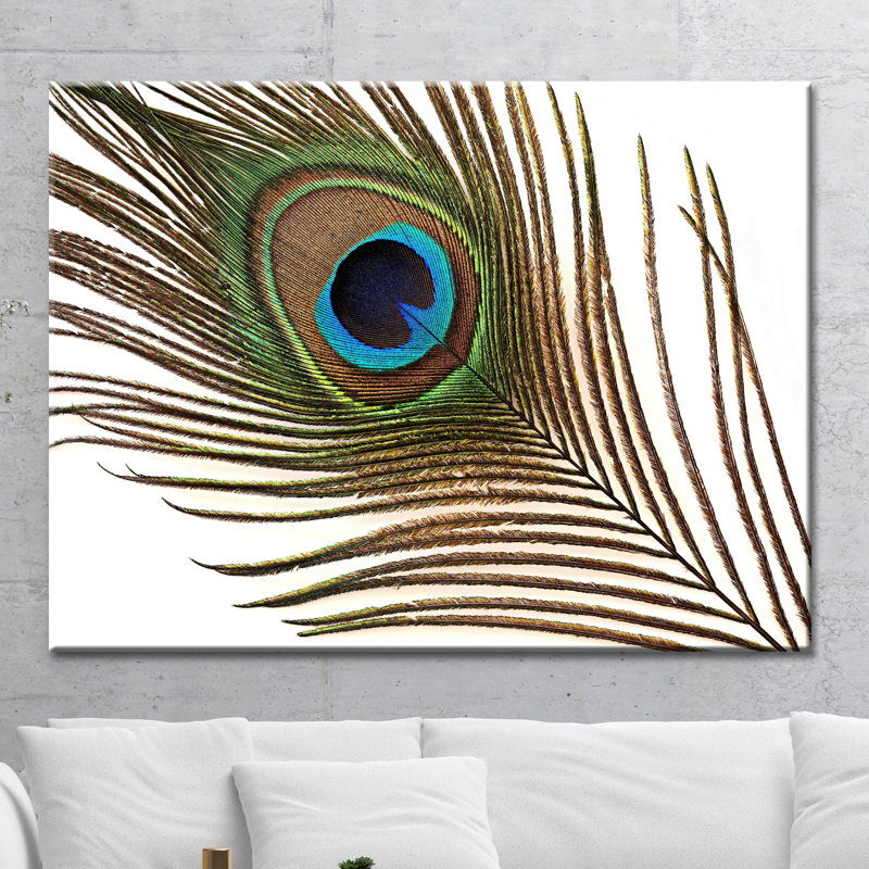 World Menagerie Peacock Feather Graphic Art Print On Wrapped