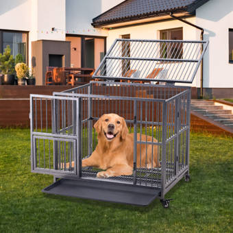 jojo dog kennels for sale