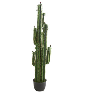 Cactus Artificial Echeveria Succulent Pick 6.25 Inches Tall Orange