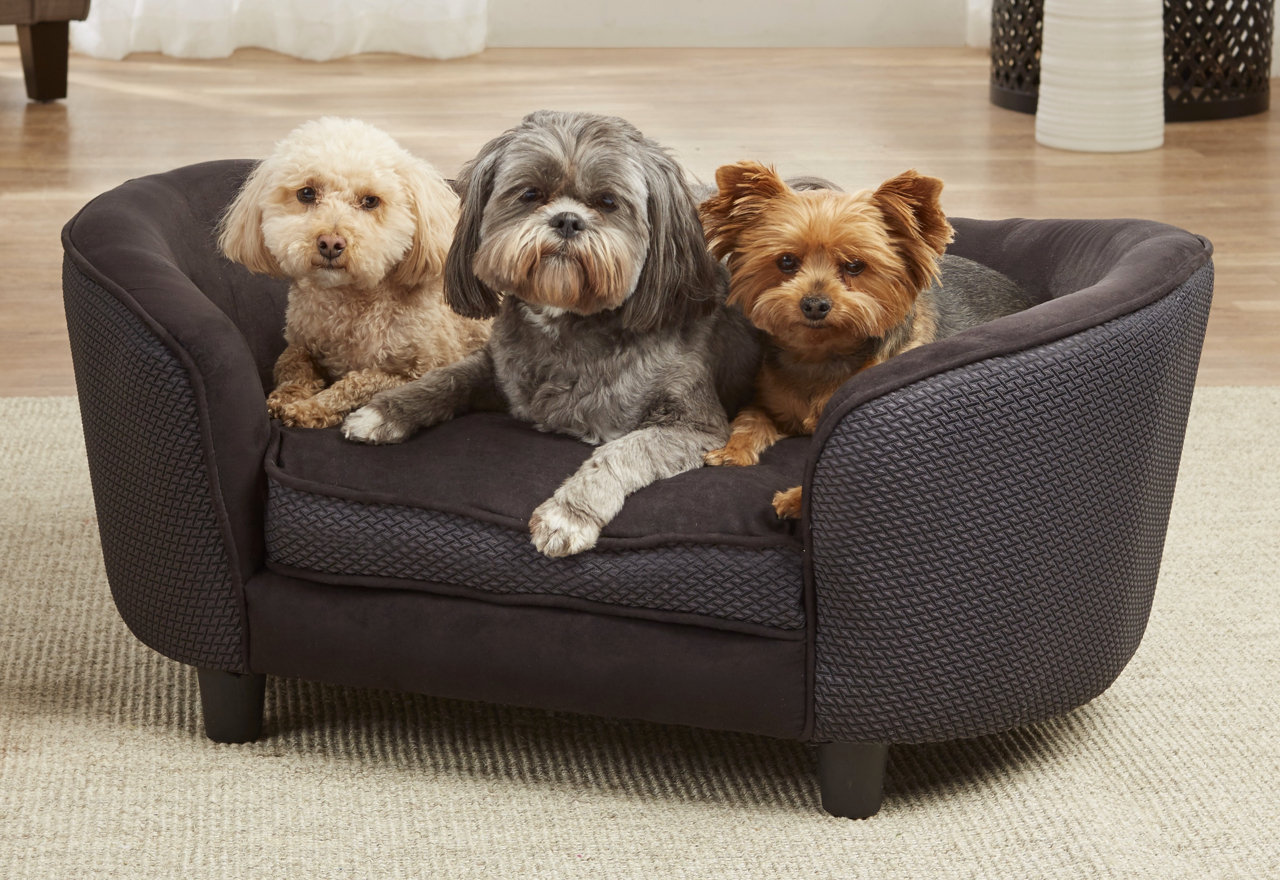 [BIG SALE] Dog Beds to Snuggle & Snooze You’ll Love In 2021 Wayfair