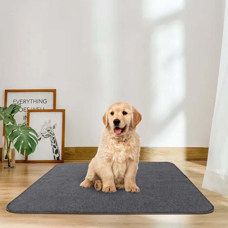 d mat for dogs