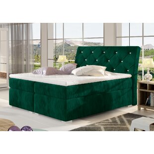 Alle Betten (Grün; Ebern Designs) zum Verlieben | Wayfair.de