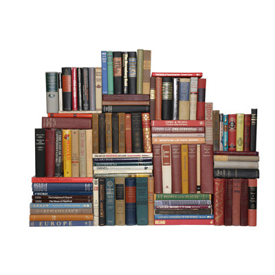 Authentic Decorative Books  Curated Library Curated Vintage World History Library Set of 100 Booth  Williams
