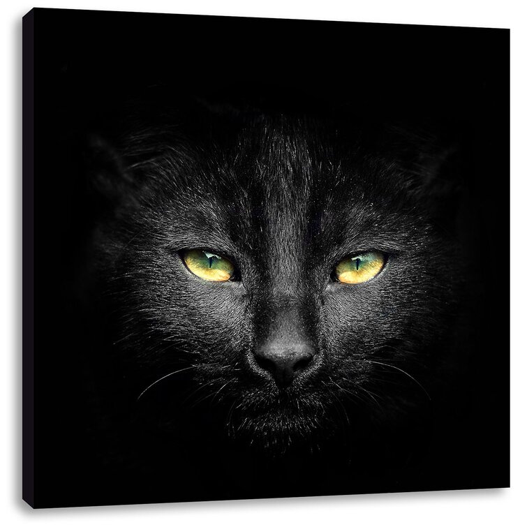 East Urban Home Leinwandbild Dark Schwarzes Katzengesicht Wayfair De