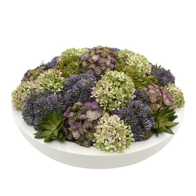 Assorted Sedum and Succulent Arrangement in Round Planter