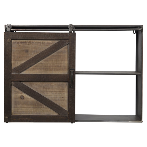 Gracie Oaks Leipzig Farmhouse Sliding Barn Door Storage Cabinet