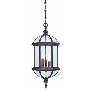 Grenville 3-Light Outdoor Hanging Lantern Darby Home Co Fashion and beautiful backpack