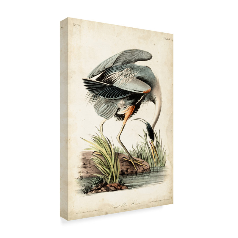 East Urban Home Blue Heron Portrait Oil Painting Print On