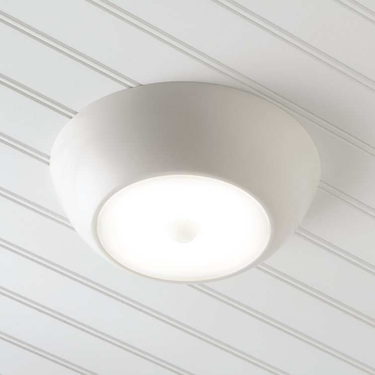 Dusk to dawn outdoor ceiling light
