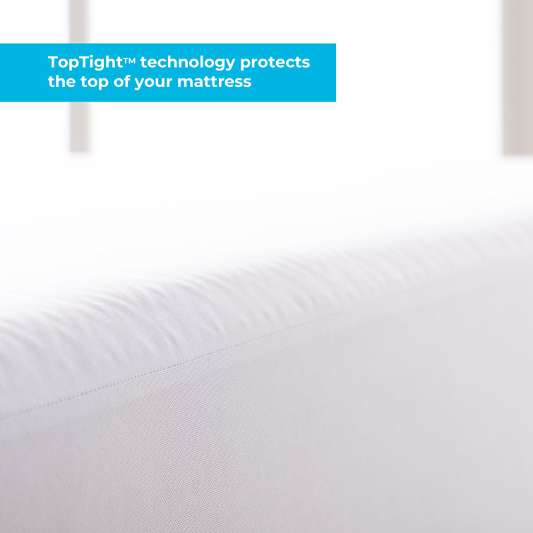 Wayfair Sleep Waterproof Fitted Mattress Protector Reviews Wayfair
