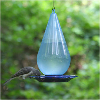 Perky Pet Opus Glass Bottle Nectar Hummingbird Feeder Reviews
