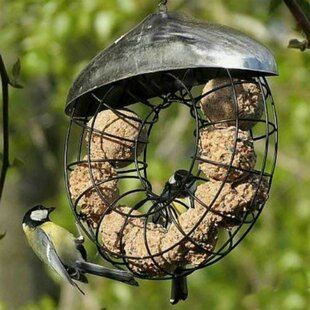 Evangeline Fat Ball Decorative Bird Feeder By Archie & Oscar