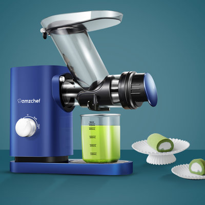 Amzchef Slow Masticating and Cold Press Juicer AMZCHEF Color: Blue