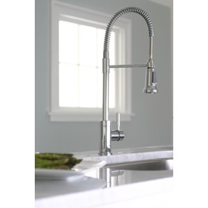 Premier Faucet Essen One Handle Single..