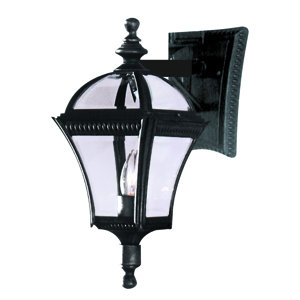 Burgher 1-Light Outdoor Wall Lantern