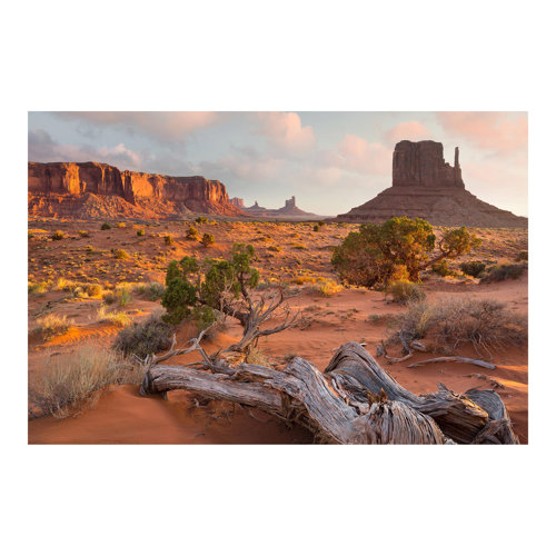 Monument Valley Navajo Tribal Park, Arizona 2.25m x 3.36m Textured Matt Peel & Stick Wall Mural East Urban Home