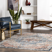 Wayfair 2 X 3 Area Rugs You Ll Love In 23