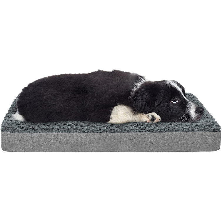 memory foam for dog crate