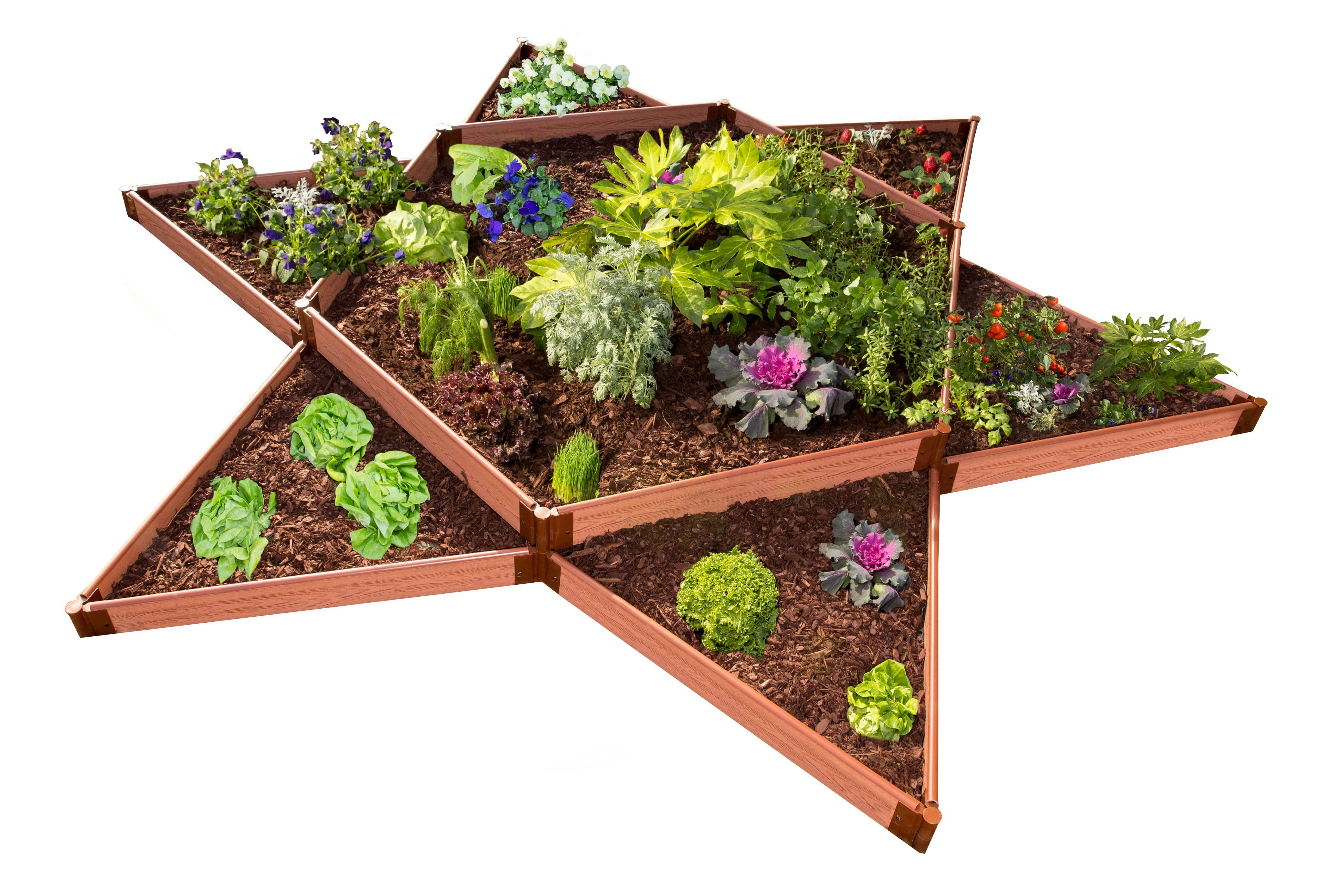 Frame It All Tool Free Classic Sienna One Inch Star 12 Ft X 12 Ft Raised Garden Wayfair