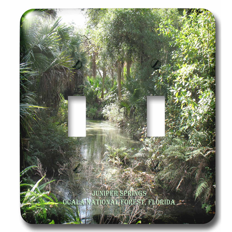 3drose Ocala National Forest 2 Gang Toggle Light Switch Wall Plate Wayfair
