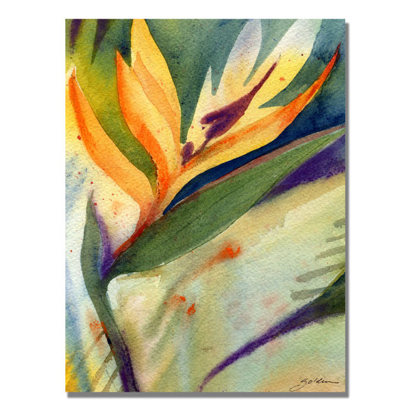 Trademark Art Bird Of Paradise By Sheila Golden Painting Print