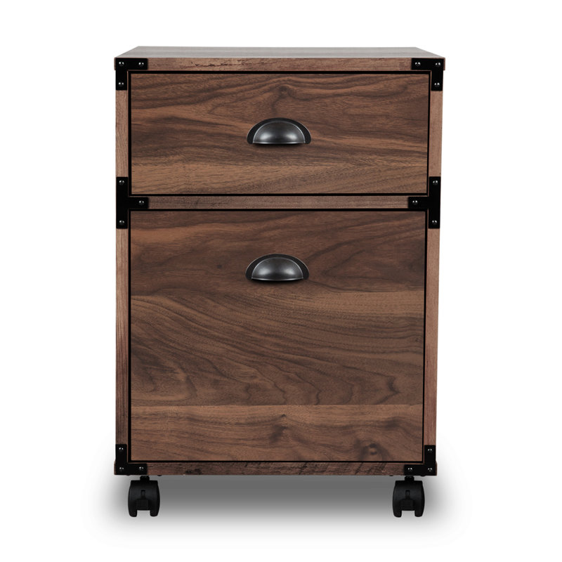 Williston Forge Orman 2 Drawer Mobile Vertical Filing Cabinet