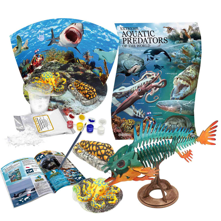 WILD ENVIRONMENTAL SCIENCE Extreme Aquatic Predators Of The World - Ages 6+  - Create And Customize Models And Dioramas - Study Extreme Ocean Animals -  Wayfair Canada