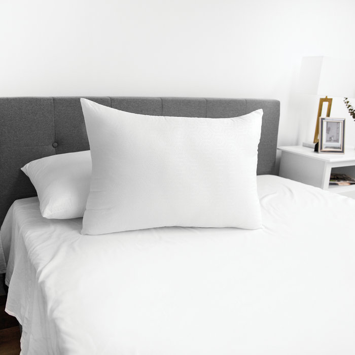 Alwyn Home Margaret Embossed Senso Soft Plush Polyester And