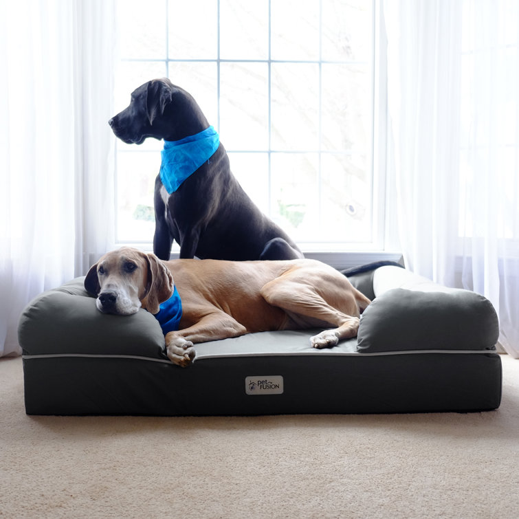 ultimate dog bed