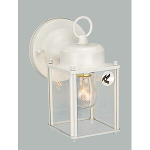 1-Light Outdoor Wall Lantern