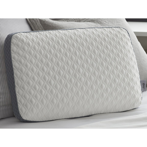 Sealy Memory Foam Wayfair