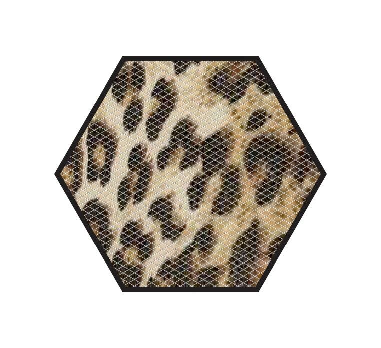 No Slip Mat By Versatraction Cheetah Bath Tub And Shower Mat Wayfair