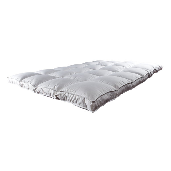 Alwyn Home Garces Perfect 3 Goose Feathers And Goose Down