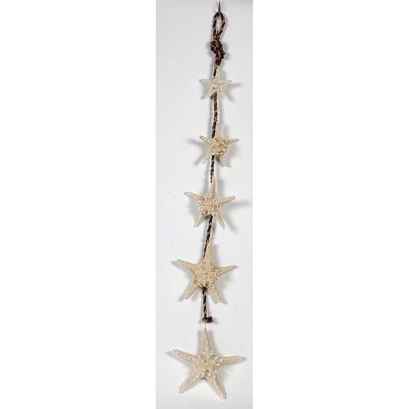 Wallpaper Highland Dunes Durkin Starfish Strands Wall Decor Reviews Wayfair Desktop Wallpaper