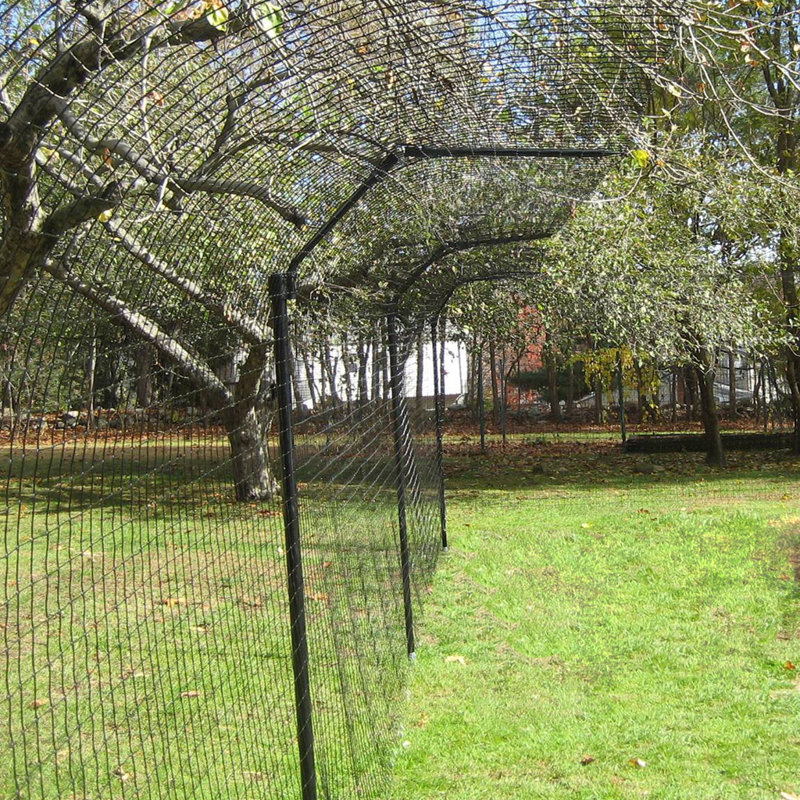 wayfair pet fence